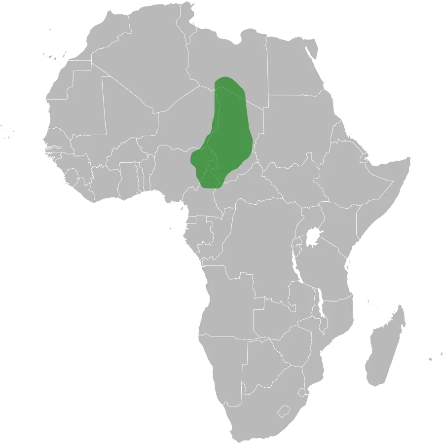 Kanem-Bornu Empire — Kanem-Bornu